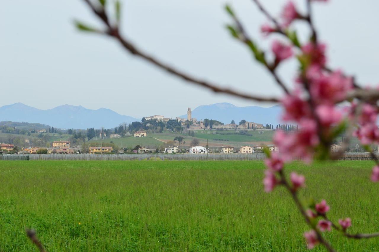 Appartamento Mi.Lu Susegana Exterior photo